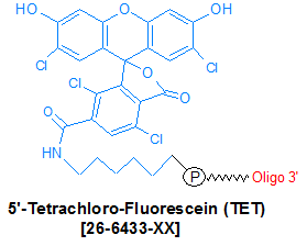 picture of Tet-5' (Tetrachloro-Fluorescein)